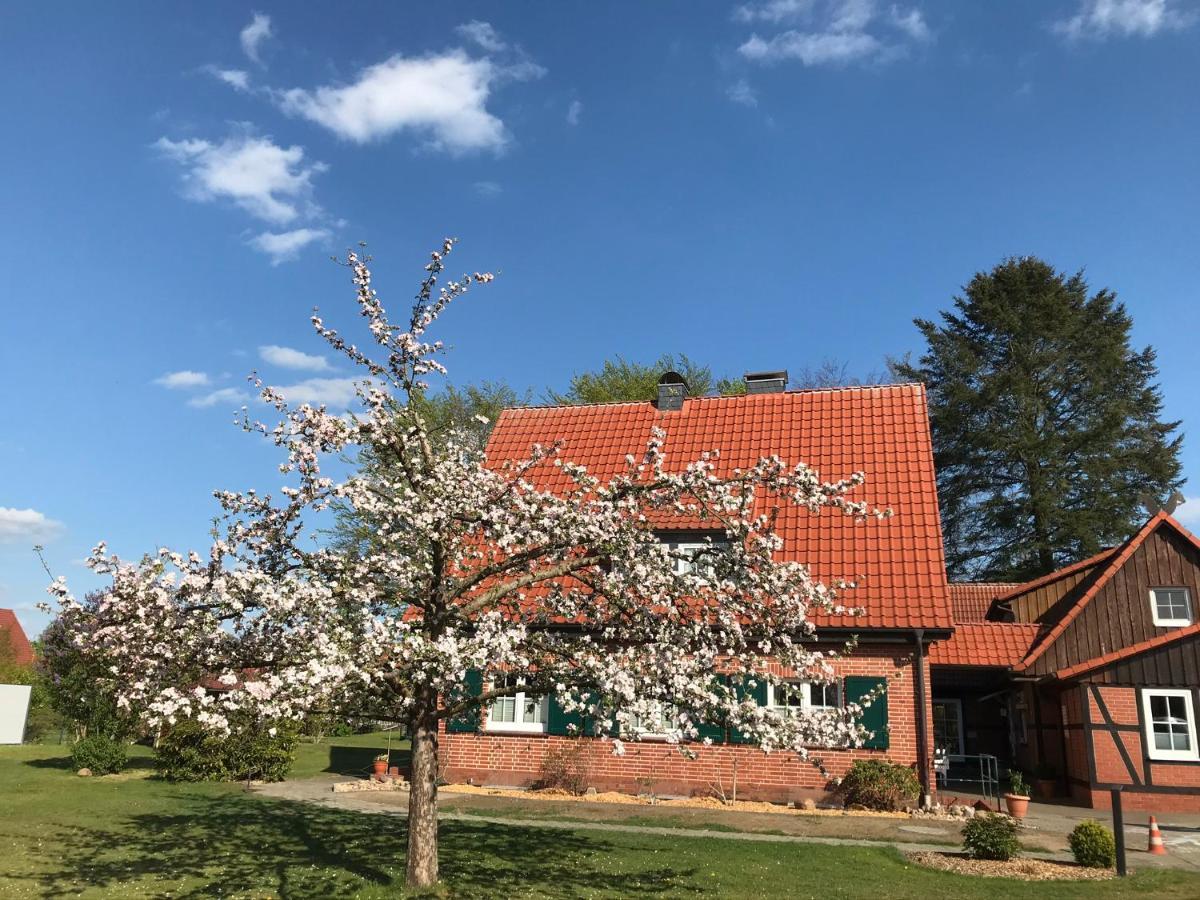 Ferienhaus-Eschede Buitenkant foto